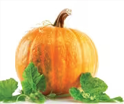 Anabolic Actions of Pumpkin Seed Extract
